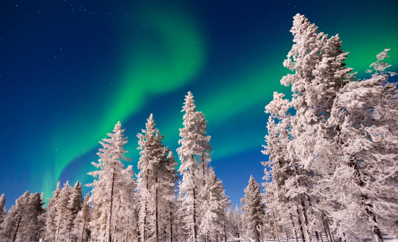 Fact-o-Logy — Finland Edition ????????